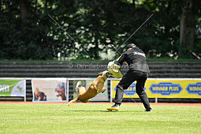  ne pas toucher Amy Winehouse