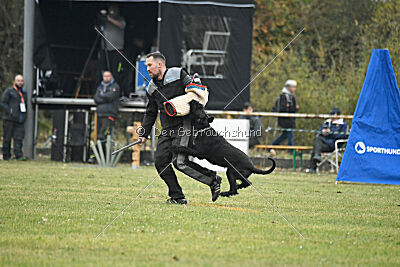 A-Frida con todos los santos