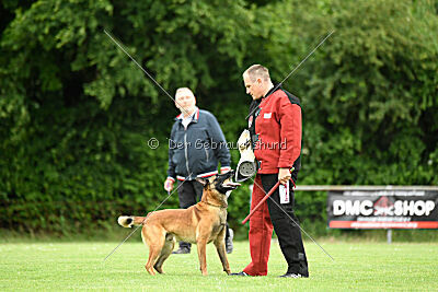 A Mort vom blonden Gift