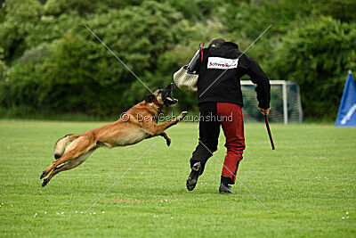 A Mort vom blonden Gift