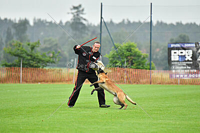 A little Bit vom blonden Gift