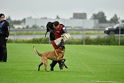 A little Bit vom blonden Gift