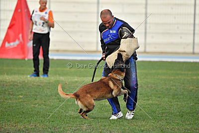 Aaron vom Münzenberg