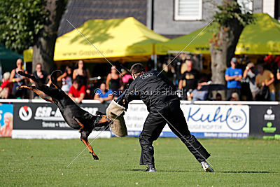 Aaron vom Weisenstein