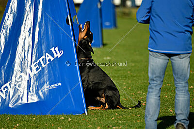 Aaron von der Sternhöhe