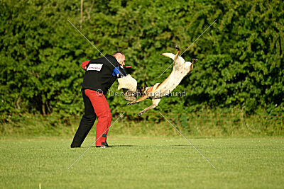 Abby Lee vom Heidländer Wappen