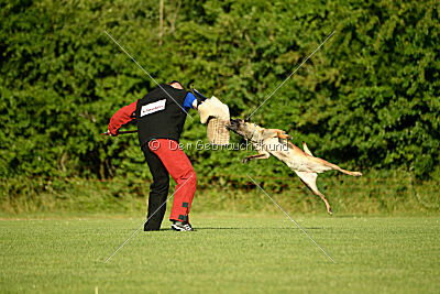 Abby Lee vom Heidländer Wappen