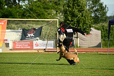 Abby Lee vom Heidländer Wappen