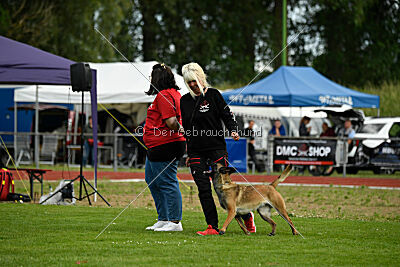 Abby Lee vom Heidländer Wappen