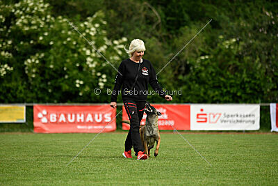 Abby Lee vom Heidländer Wappen