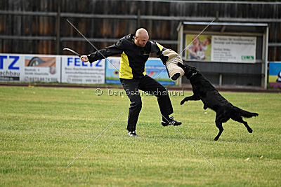 Abby vom Schattenbachtal