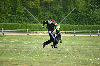 Abs vom alten Schafstall