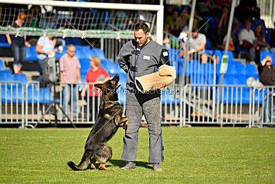 Ace vom Friedrichsfelder Eck