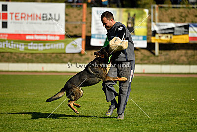 Ace vom Friedrichsfelder Eck