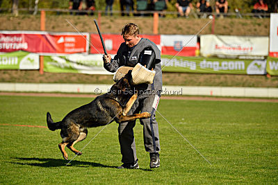 Ace vom Friedrichsfelder Eck