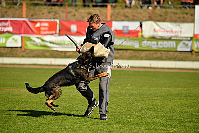 Ace vom Friedrichsfelder Eck