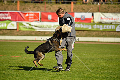 Ace vom Friedrichsfelder Eck