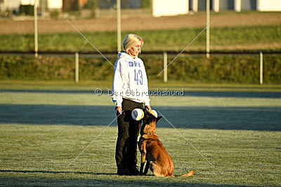 Ace vom Vollblutarabergestüt
