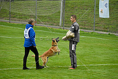 Ace von den zauberhaften Teufeln