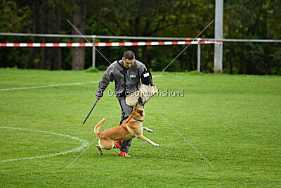 Ace von den zauberhaften Teufeln