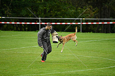 Ace von den zauberhaften Teufeln