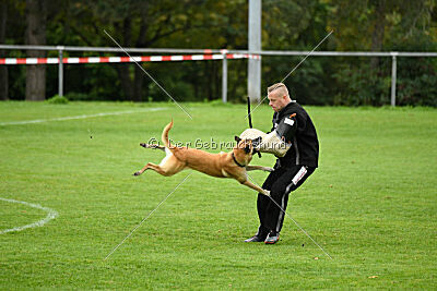 Ace von den zauberhaften Teufeln