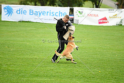 Ace von den zauberhaften Teufeln