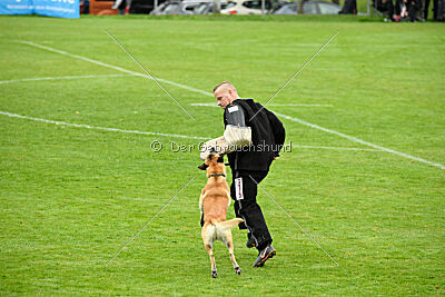 Ace von den zauberhaften Teufeln