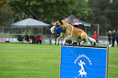 Ace von den zauberhaften Teufeln