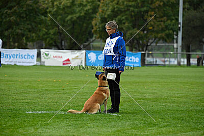 Ace von den zauberhaften Teufeln