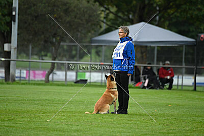 Ace von den zauberhaften Teufeln