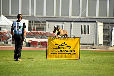 Activ Jerte Maicono livre