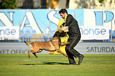 Activ Jerte Maicono livre