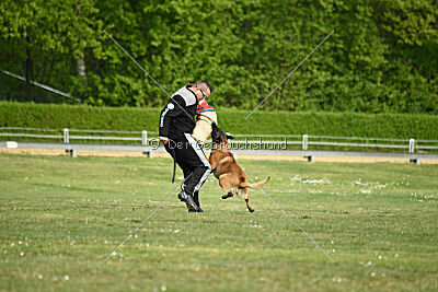 Activ Jerte Maicono livre