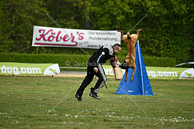 Activ Jerte Maicono livre