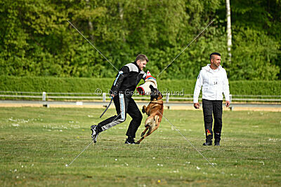 Activ Jerte Maicono livre