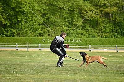 Activ Jerte Maicono livre