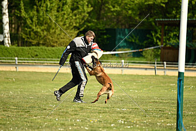 Activ Jerte Maicono livre