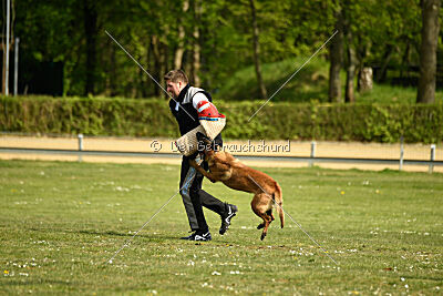 Activ Jerte Maicono livre