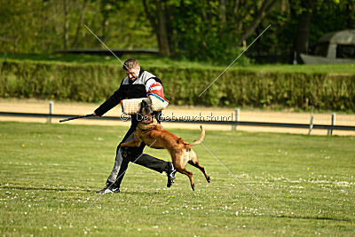 Activ Jerte Maicono livre