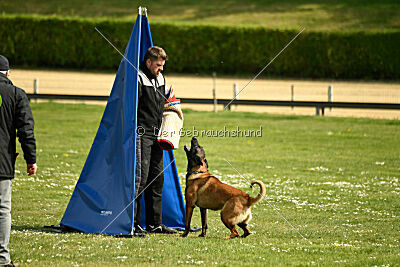 Activ Jerte Maicono livre