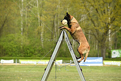 Activ Jerte Maicono livre