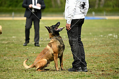 Activ Jerte Maicono livre