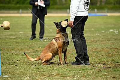 Activ Jerte Maicono livre