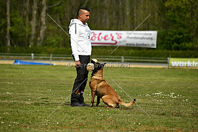 Activ Jerte Maicono livre