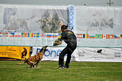 Ada Hegerberg Boca Bohemia