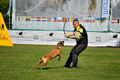 Ada Hegerberg Boca Bohemia