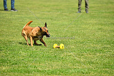 Ada Hegerberg Boca Bohemia