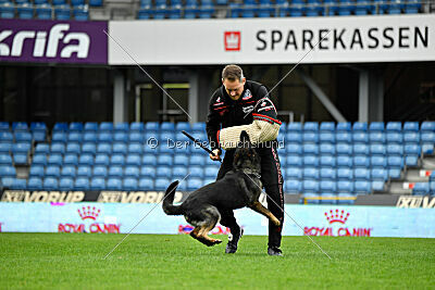 Adele Canis Invictus