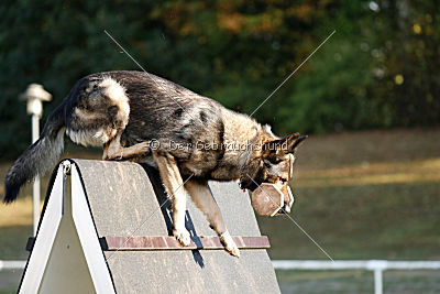 Admiral von Magna Pesna